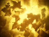 Ο Επίχρυσος Κόσμος μας σε Εξέλιξη, 2011, εγκατάσταση στον χώρο με ήχο, παραχώρηση του καλλιτέχνη, Ανάθεση της 3ης Μπιενάλε Σύγχρονης Τέχνης Θεσσαλονίκης