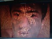 Dead or alive?, 2011, Περφόρμανς