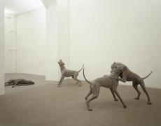 UNDERDOG, 2005FIVE DOGS, MELTING BRONZE DIMENSIONS VARIABLE