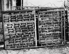 EXEMPLARY PHO¬TOGRAPHS, 2010 (PRINTED 2013) PHOTOGRAPHY, LAMBDA C-TYPE PRINT FROM SCANNED NEGATIVE49 X 36 CM