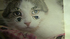 Erik van Lieshout_slider